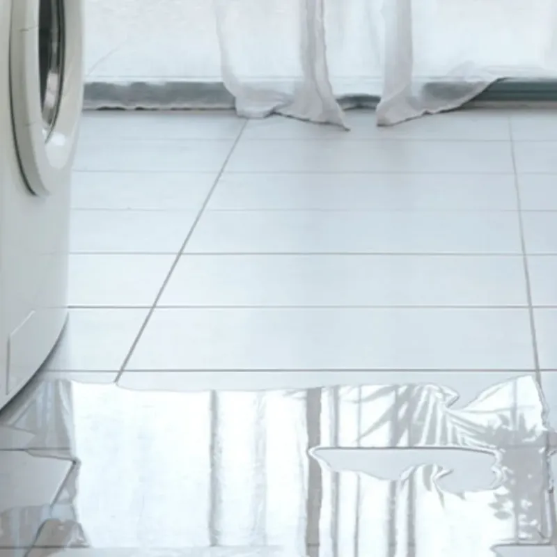 Appliance Leak Cleanup in La Grange, TX