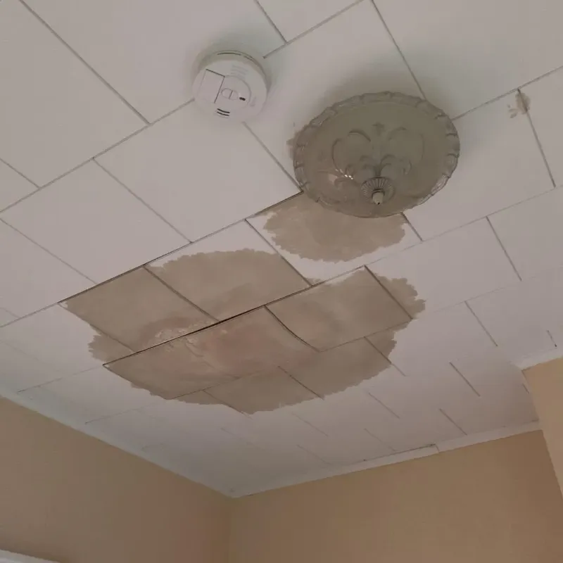 Ceiling Water Damage Repair in La Grange, TX